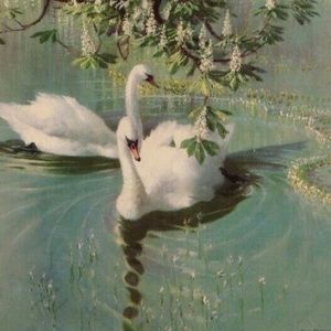 Meet your Posher, Madelyn